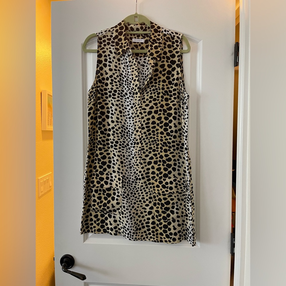 Equipment Silk Leopard Print Dress